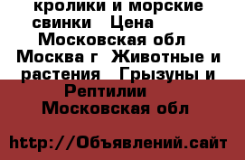 кролики и морские свинки › Цена ­ 200 - Московская обл., Москва г. Животные и растения » Грызуны и Рептилии   . Московская обл.